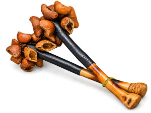 Keenari Seeds Rattle