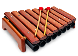 8-Note Wooden Xylophone